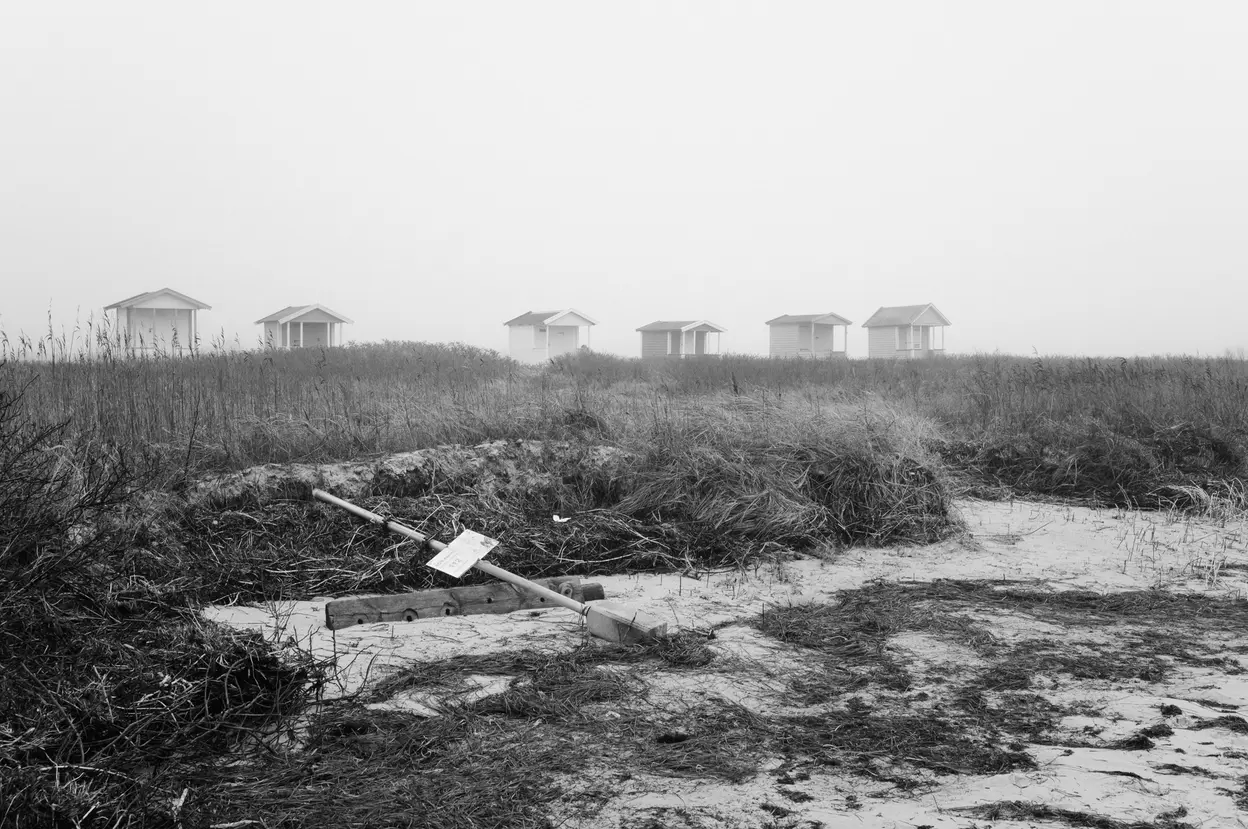 Huts along the horizon beyond winter reeds, a fallen post in the foreground