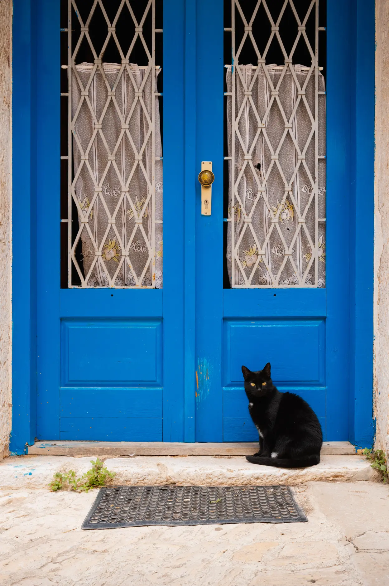 A black cat sitting at the foot of a bright blue double door